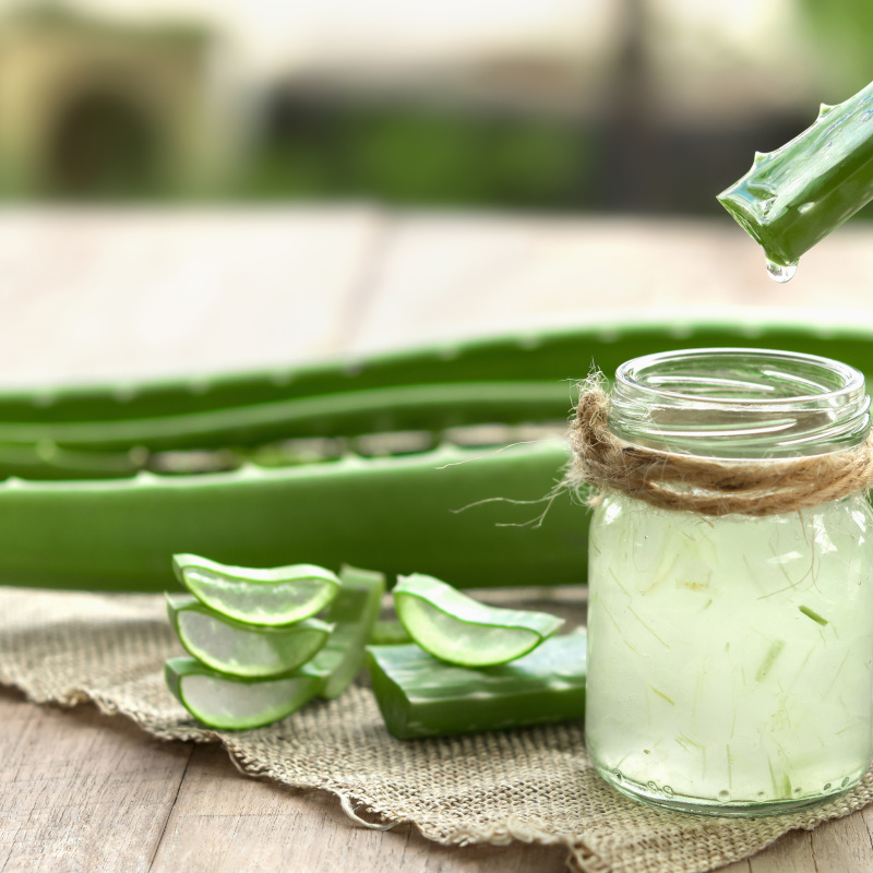 Les bienfaits cutanés de l'aloe vera