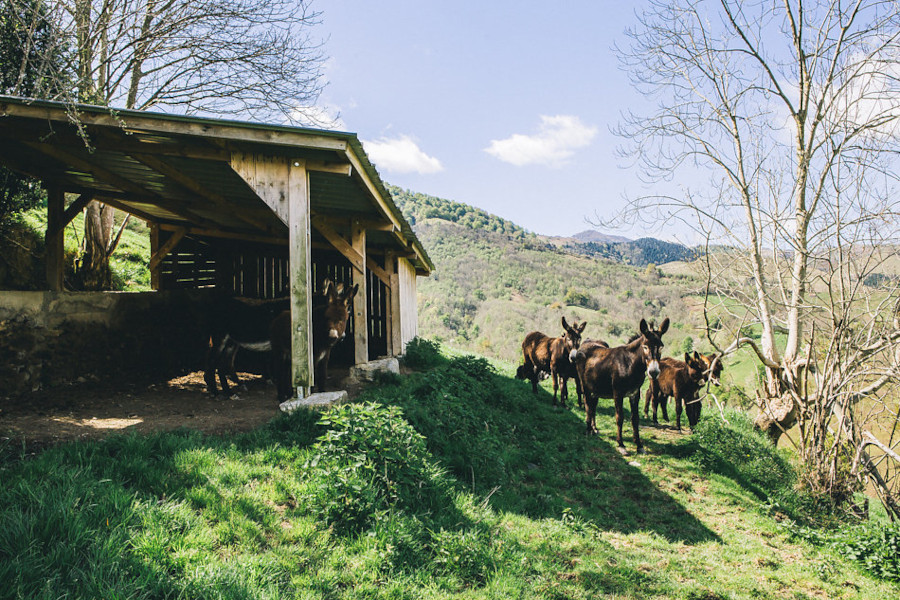 Aquitaine-Limousin-Poitou-Charentes