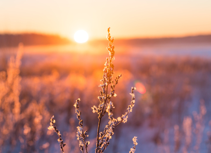 Les effets de l'hiver sur la peau